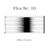 Milan Guštar: Flex Nr.10