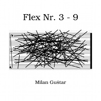Milan Guštar: Flex Nr.3-9